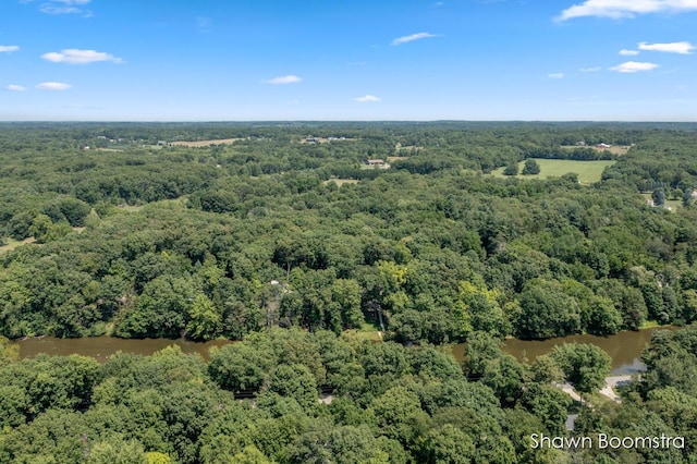 6501 Thornapple River Dr SE, Alto, MI 49302 - photo 30