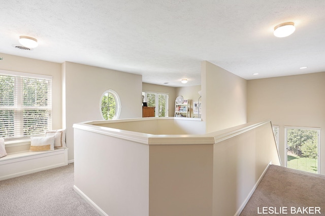 1939 Sugarcreek Ct, Zeeland, MI 49464 - photo 31