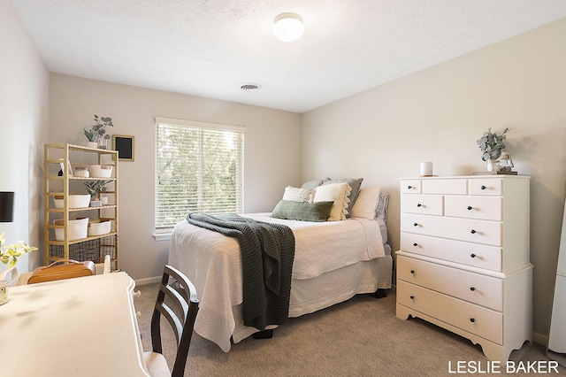 1939 Sugarcreek Ct, Zeeland, MI 49464 - photo 44