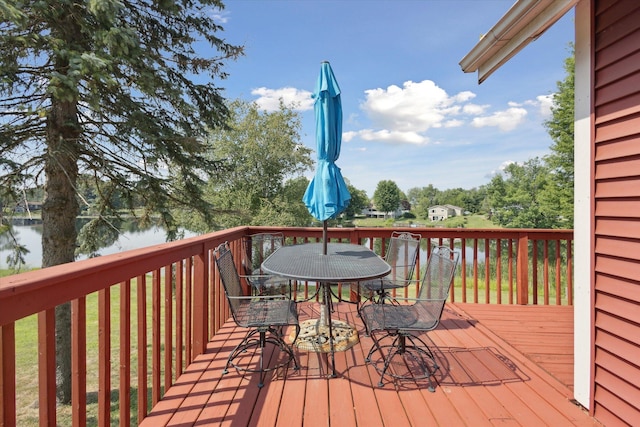 3931 E Shore Dr, Stanton, MI 48888 - photo 31