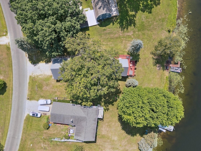 3931 E Shore Dr, Stanton, MI 48888 - photo 44