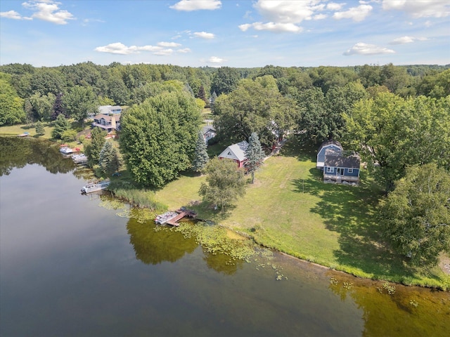 3931 E Shore Dr, Stanton, MI 48888 - photo 47