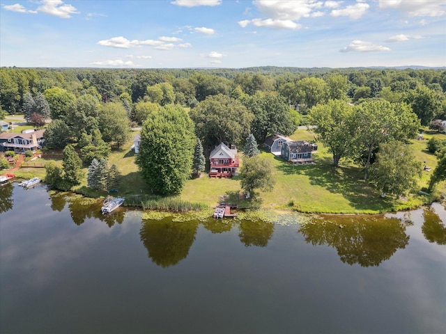 3931 E Shore Dr, Stanton, MI 48888 - photo 48