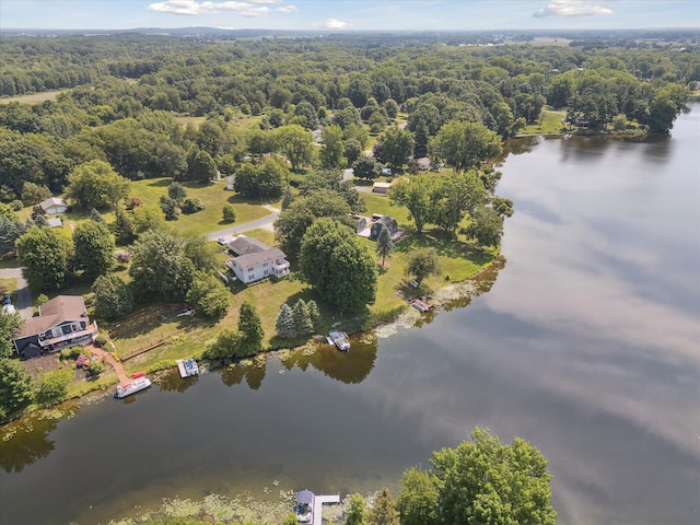 3931 E Shore Dr, Stanton, MI 48888 - photo 49