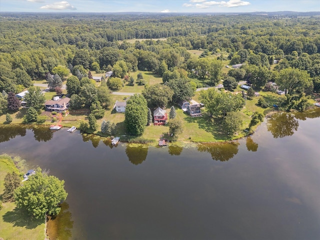 3931 E Shore Dr, Stanton, MI 48888 - photo 50