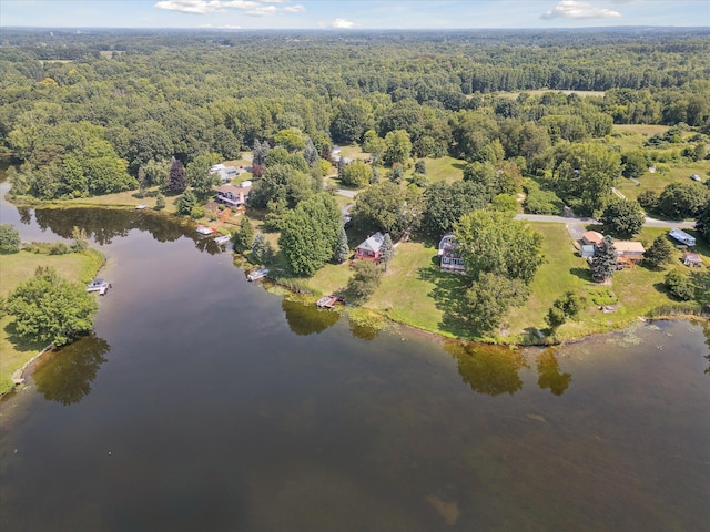 3931 E Shore Dr, Stanton, MI 48888 - photo 51