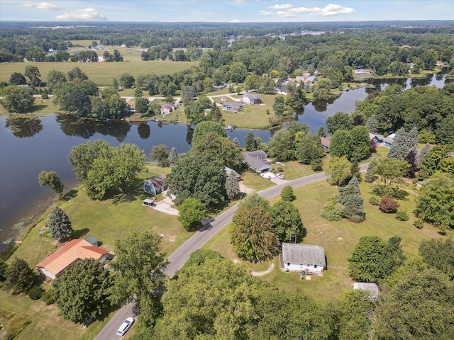 3931 E Shore Dr, Stanton, MI 48888 - photo 52