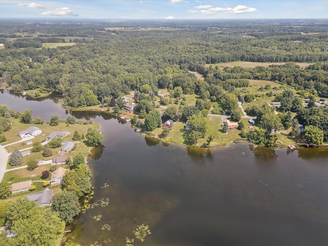 3931 E Shore Dr, Stanton, MI 48888 - photo 57