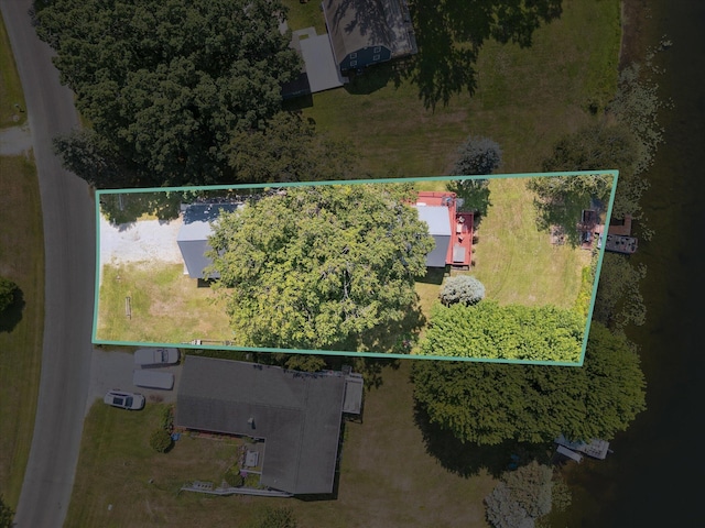 3931 E Shore Dr, Stanton, MI 48888 - photo 36