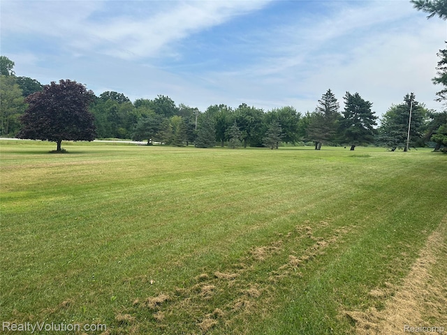 12749 Burt Rd, Riley, MI 48041 - photo 8