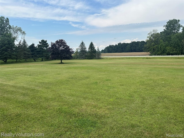 12749 Burt Rd, Riley, MI 48041 - photo 10