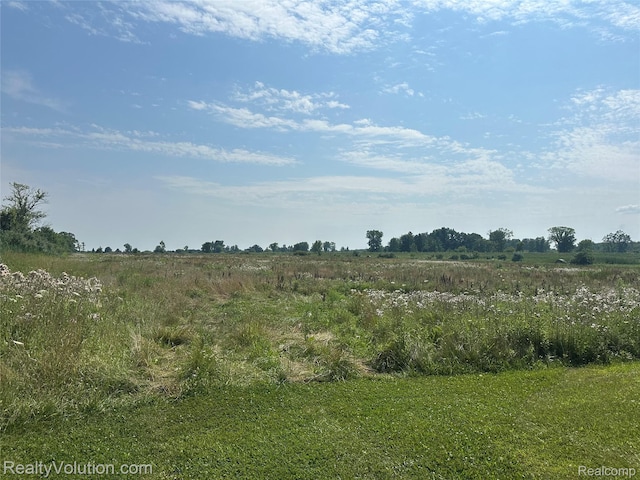 12749 Burt Rd, Riley, MI 48041 - photo 44
