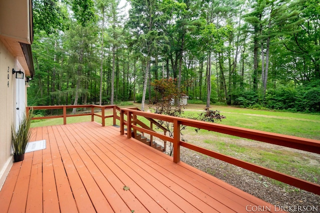 204 50th St, Grand Junction, MI 49056 - photo 9