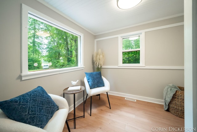 204 50th St, Grand Junction, MI 49056 - photo 27