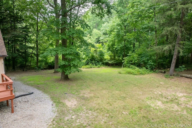 204 50th St, Grand Junction, MI 49056 - photo 48
