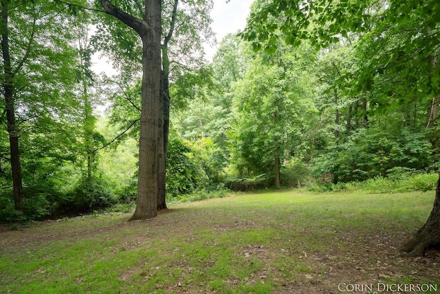 204 50th St, Grand Junction, MI 49056 - photo 49