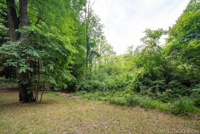 204 50th St, Grand Junction, MI 49056 - photo 51
