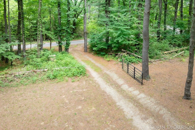 204 50th St, Grand Junction, MI 49056 - photo 59