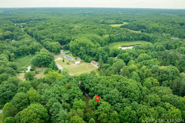 204 50th St, Grand Junction, MI 49056 - photo 62
