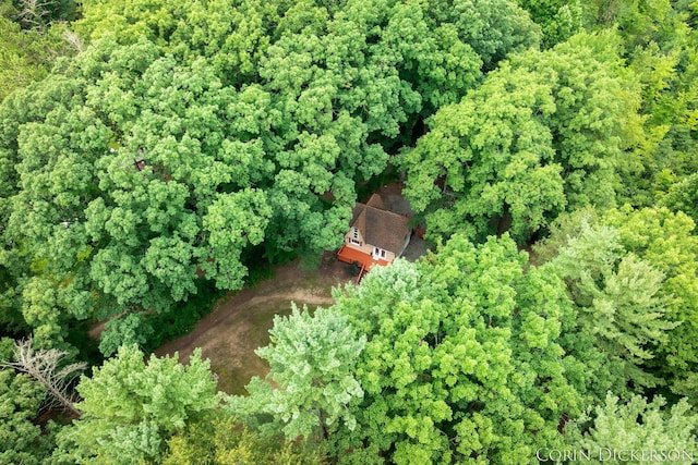 204 50th St, Grand Junction, MI 49056 - photo 63