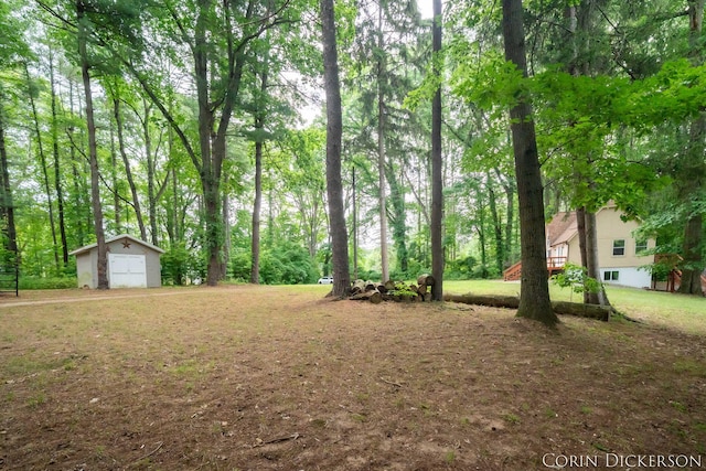 204 50th St, Grand Junction, MI 49056 - photo 45