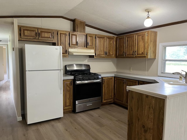 975 N Dickinson Ave, Hesperia, MI 49421 - photo 2