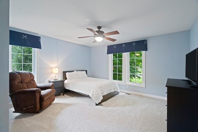 8326 Vinewood Pt, Michigan, MI 49071 - photo 39