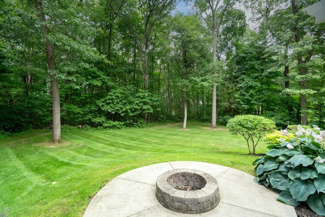 8326 Vinewood Pt, Michigan, MI 49071 - photo 57
