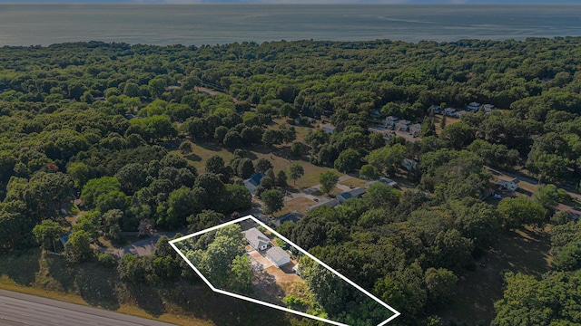 5005 Ridge Rd, Stevensville, MI 49127 - photo 23