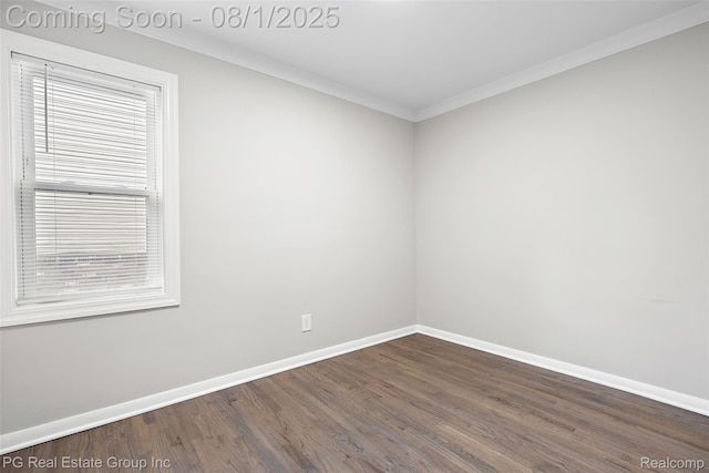 45447 Platt St, Utica, MI 48317 - photo 19