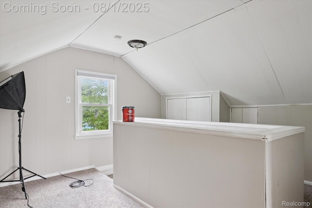 4118 Hubbard Ave, Lincoln Park, MI 48146 - photo 12