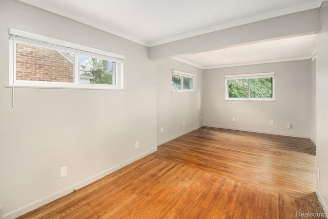 10040 Chatham, Detroit, MI 48239 - photo 12