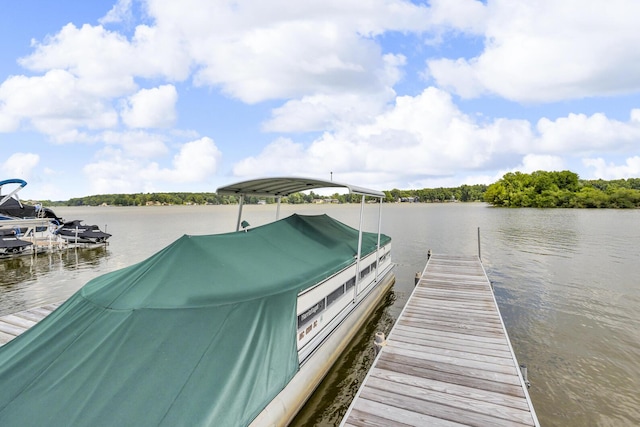 7596 Wadding Dr, Onsted, MI 49265 - photo 68