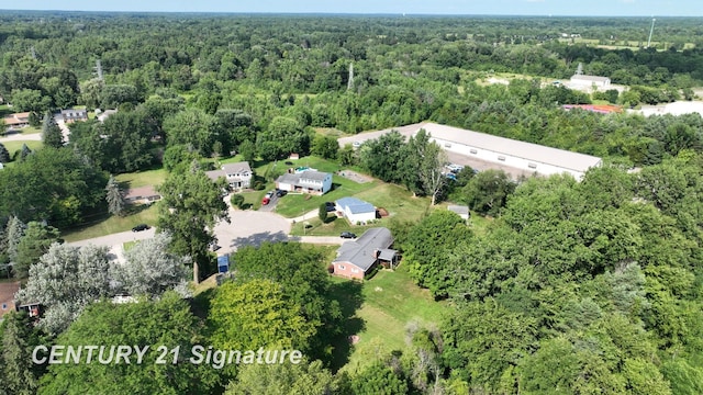 4206 Woodland Ct, Flushing, MI 48433 - photo 43