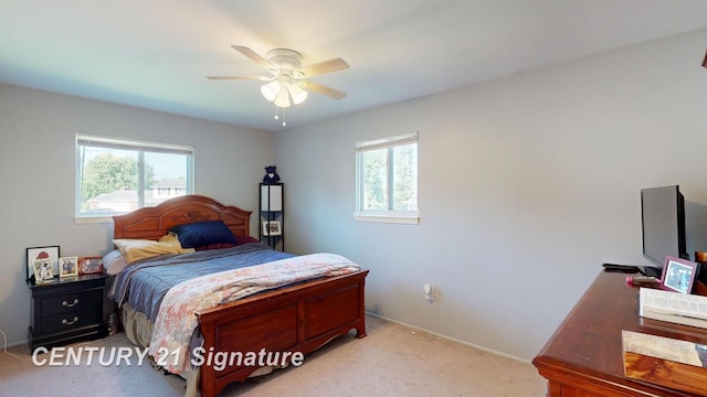 4206 Woodland Ct, Flushing, MI 48433 - photo 15