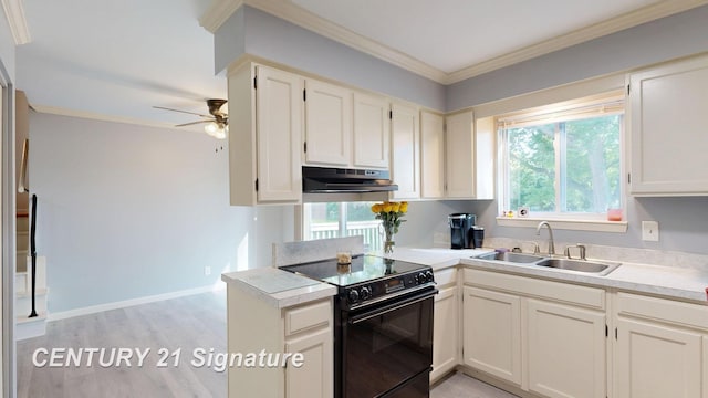 4206 Woodland Ct, Flushing, MI 48433 - photo 10
