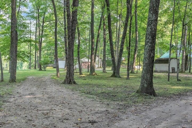 8022 Main St, Newaygo, MI 49337 - photo 3