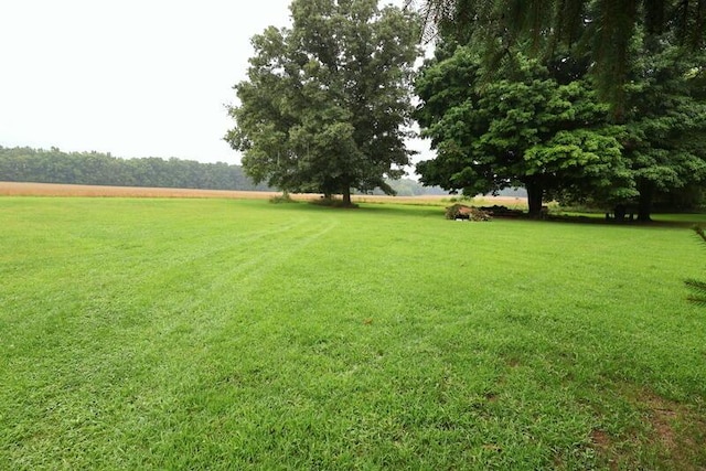 1155 Dunks Rd, Sherwood, MI 49089 - photo 4