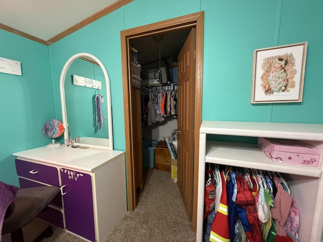 9050 3 Mile Rd, Lakeview, MI 48850 - photo 18