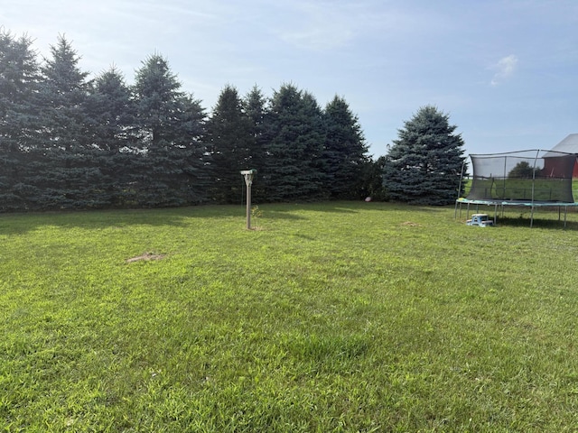 9050 3 Mile Rd, Lakeview, MI 48850 - photo 23