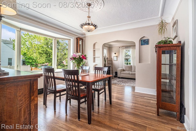 2039 10th St, Wyandotte, MI 48192 - photo 7