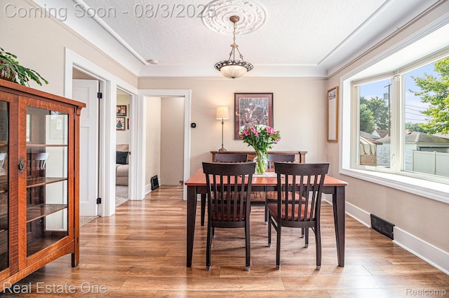 2039 10th St, Wyandotte, MI 48192 - photo 8