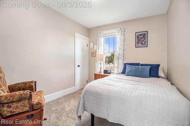 2039 10th St, Wyandotte, MI 48192 - photo 14