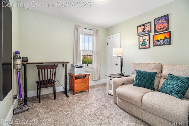 2039 10th St, Wyandotte, MI 48192 - photo 15