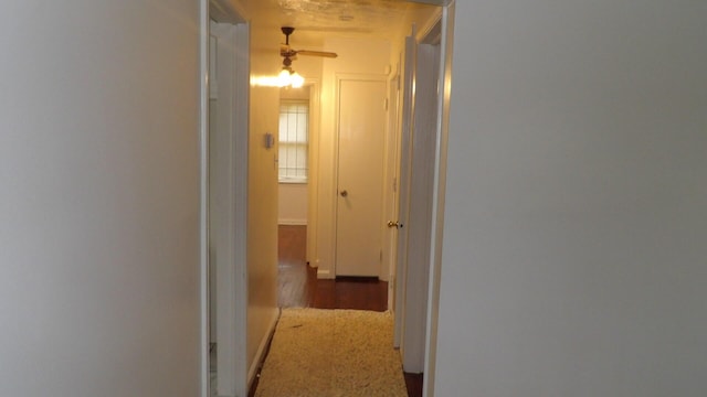 19811 Plainview Ave, Detroit, MI 48219 - photo 17