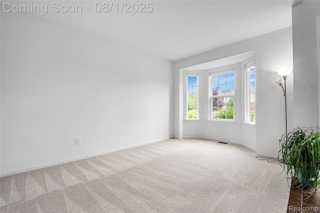 124 Shannon Partin Blvd, South Lyon, MI 48178 - photo 15