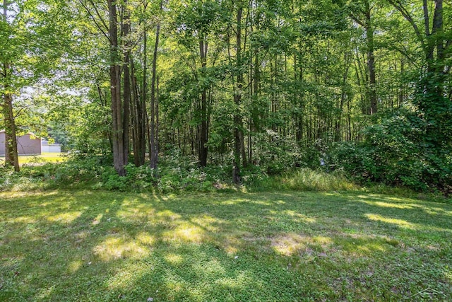 4106 S Wise Rd, Shepherd, MI 48883 - photo 28