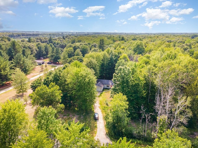 4106 S Wise Rd, Shepherd, MI 48883 - photo 29
