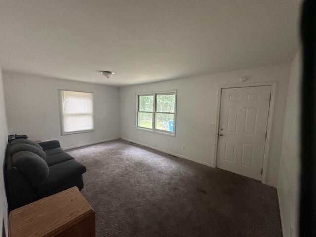 1421 Sheridan St, Baldwin, MI 49304 - photo 4