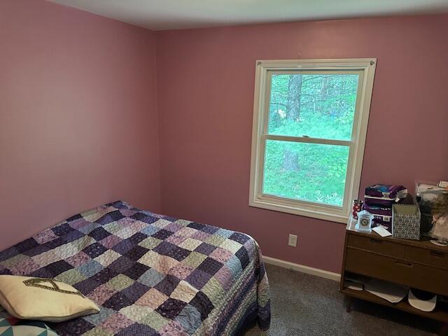 1421 Sheridan St, Baldwin, MI 49304 - photo 12